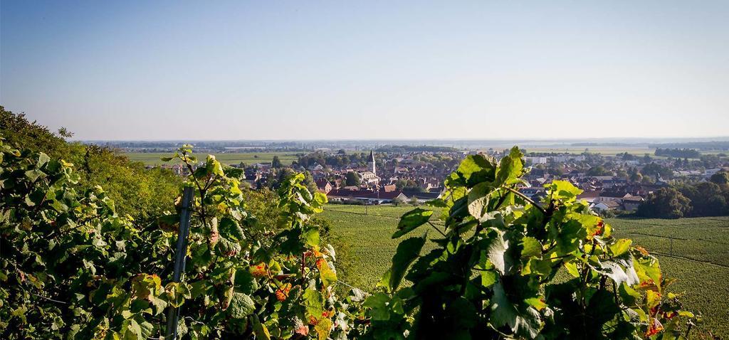 Hostellerie St Vincent Nuits-Saint-Georges Esterno foto